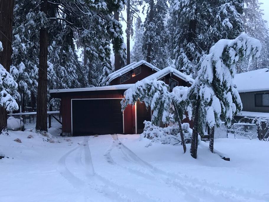 Snow is here! November 27, 2016.