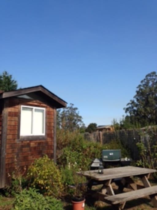Picnic table and outdoor gas grill