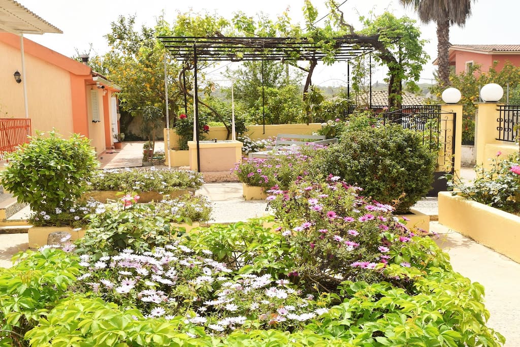 Private garden