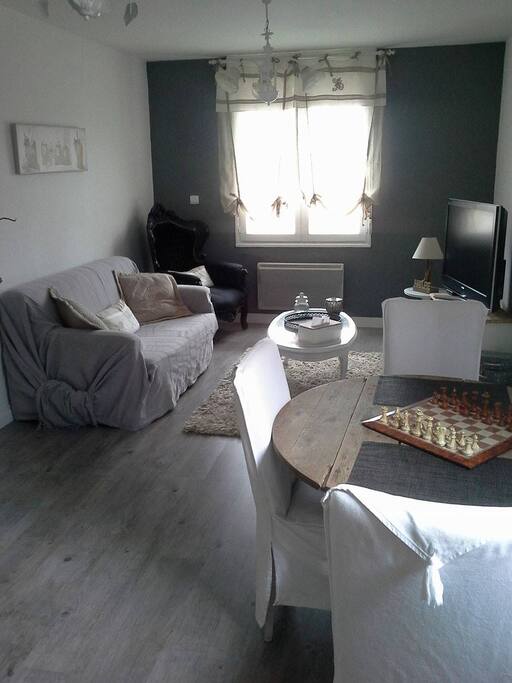 salon avec tv