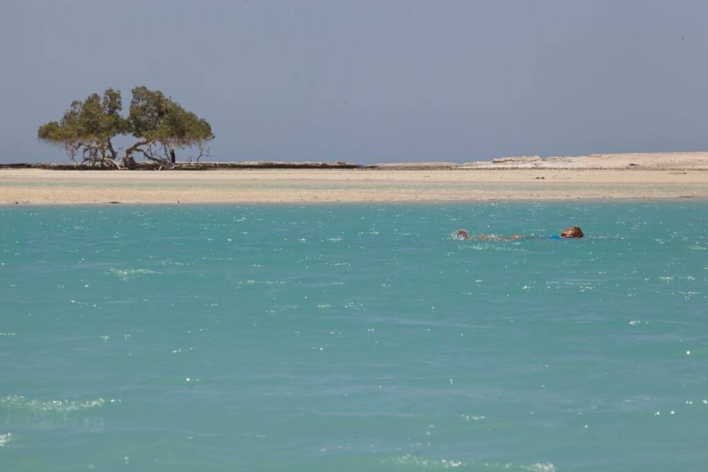 The southern Red Sea is simply beautiful.