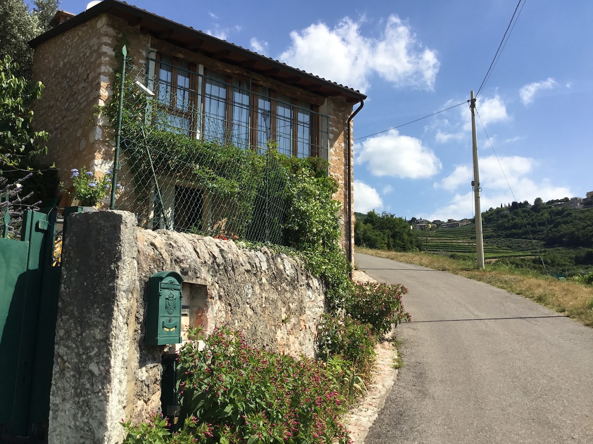 The exterior of a rustic stone house is visible, framed by lush greenery and blooming flowers. A dirt road leads up to the entrance, with a pastel blue sky and fluffy clouds overhead. A wrought iron gate and a decorative mailbox add charm to the serene setting.