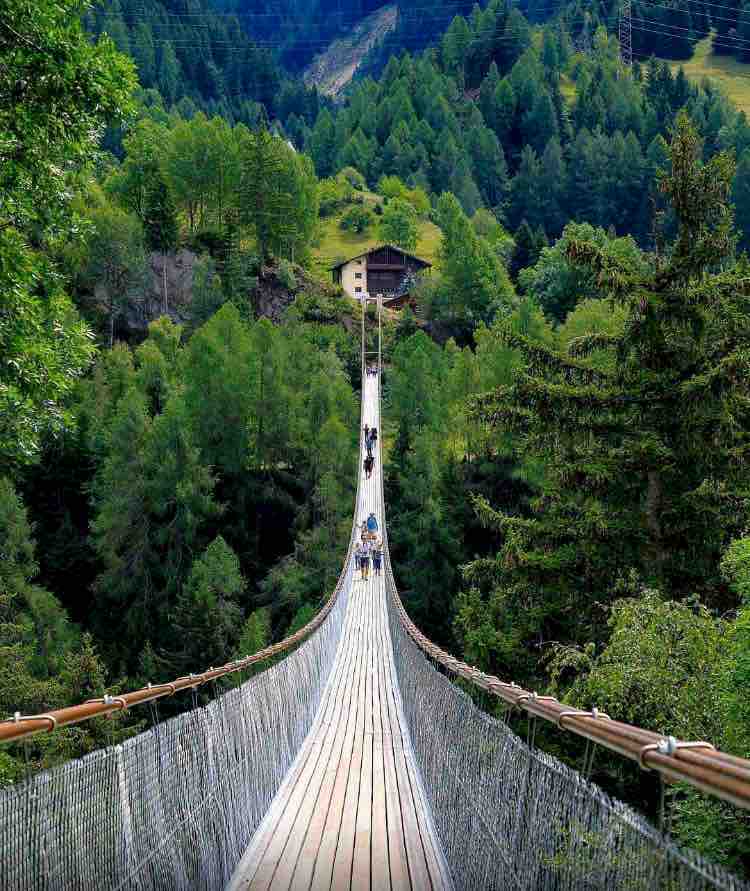 A long suspension bridge stretches across a lush green valley, surrounded by towering trees and hills. A rustic wooden cabin can be seen in the distance. The bridge's wooden planks and cables are visible, with individuals walking along its path.