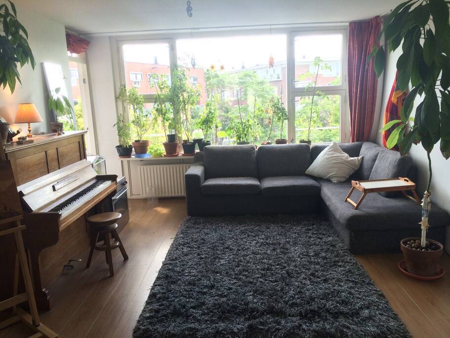 living room.