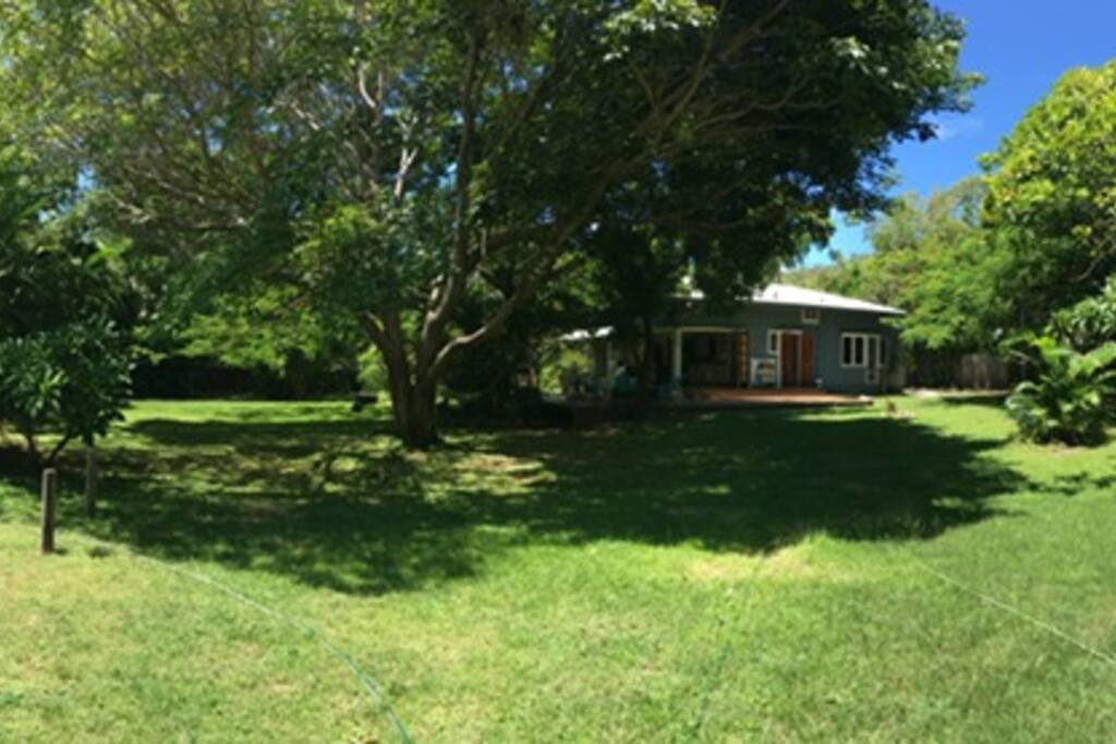 Enormous Yard