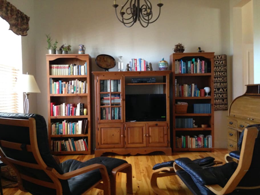 Den with books galore, TV, and comfy Swedish leather and wood chairs.