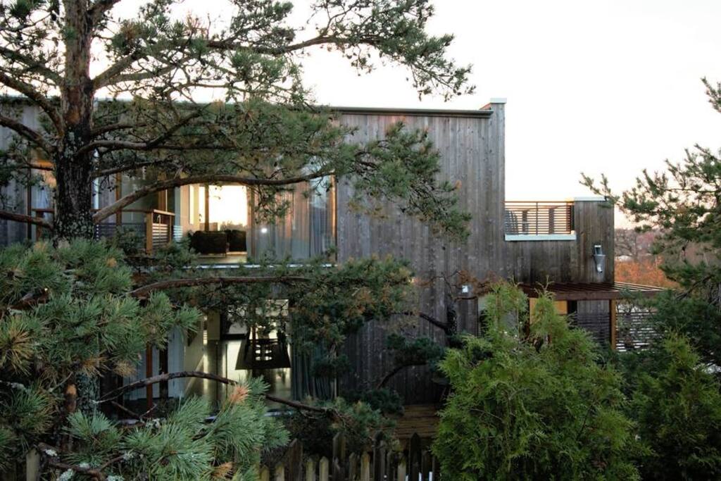 External view from back