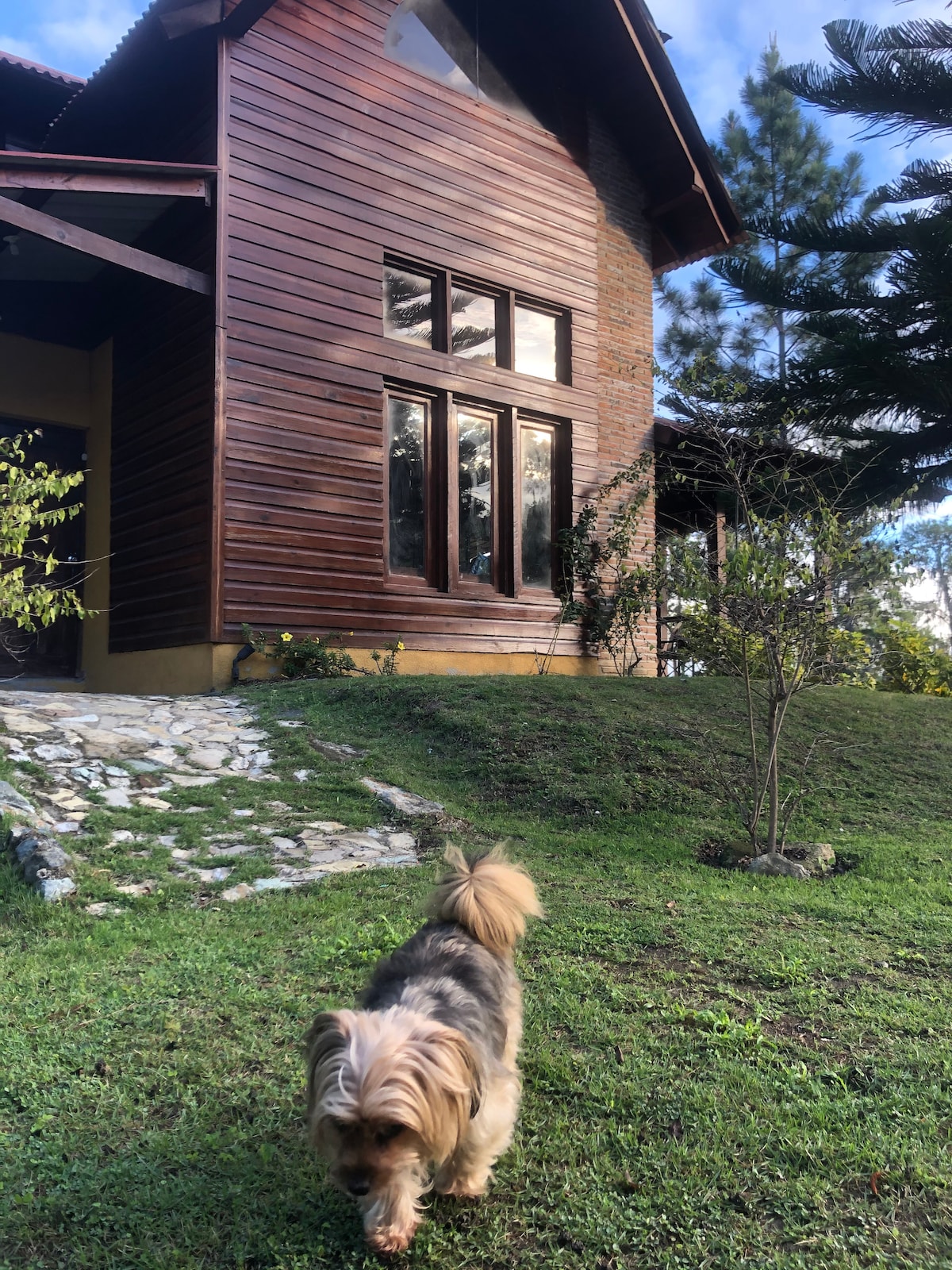 A rustic cabin featuring wooden exterior walls and large windows is set against a grassy area. A small dog is seen exploring the lawn, while trees provide greenery in the background. The peaceful surroundings emphasize a connection with nature.