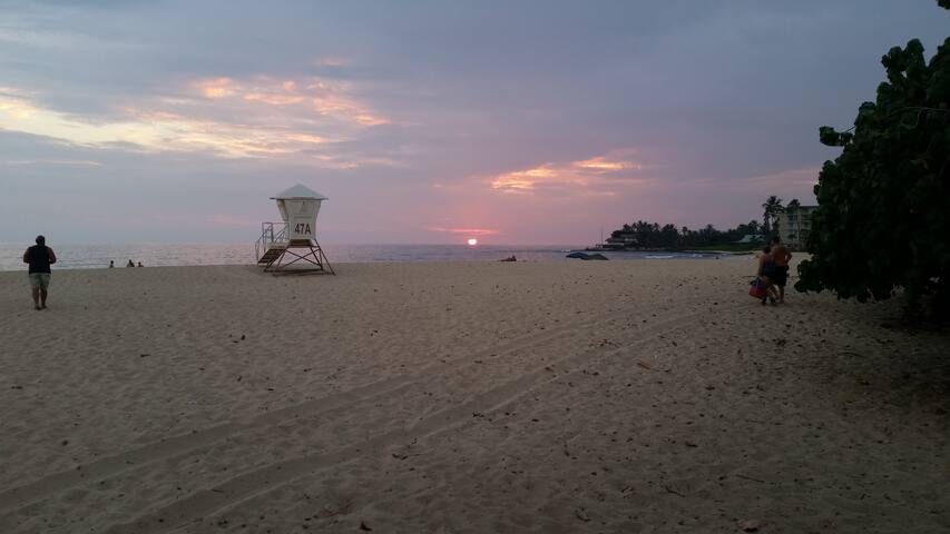 PARADISE FOUND! BEACHFRONT TROPICAL OCEAN OASIS gallery image 2