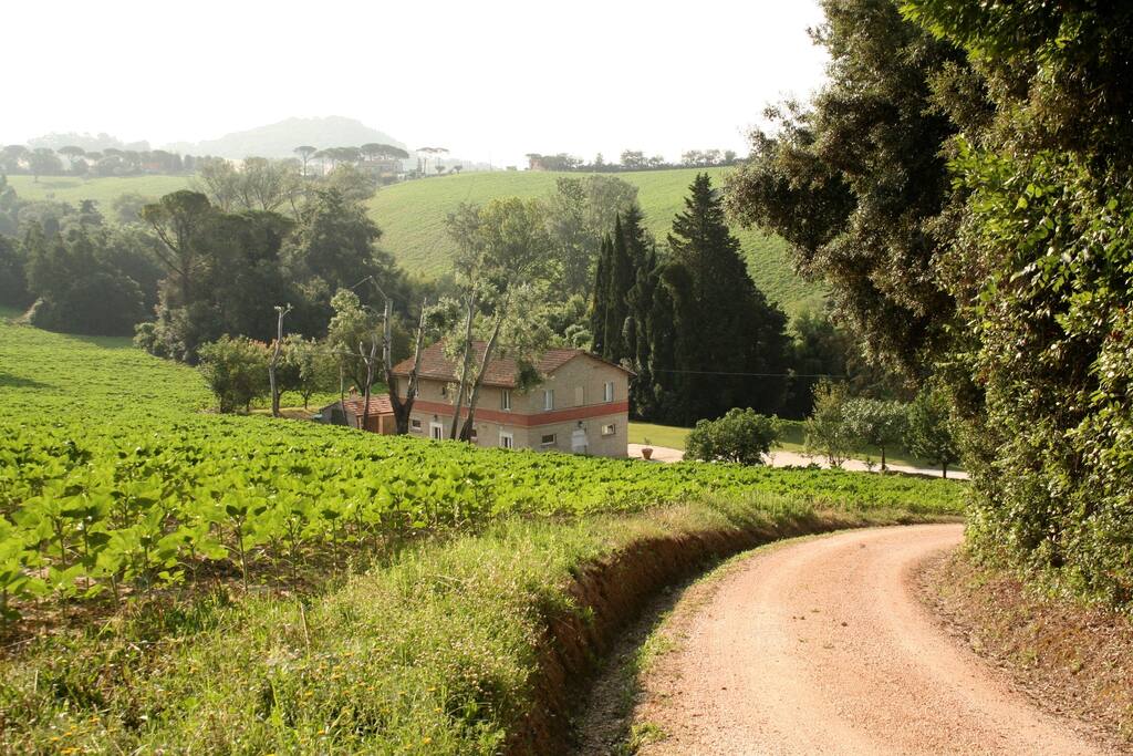 La strada di accesso privato alla casa