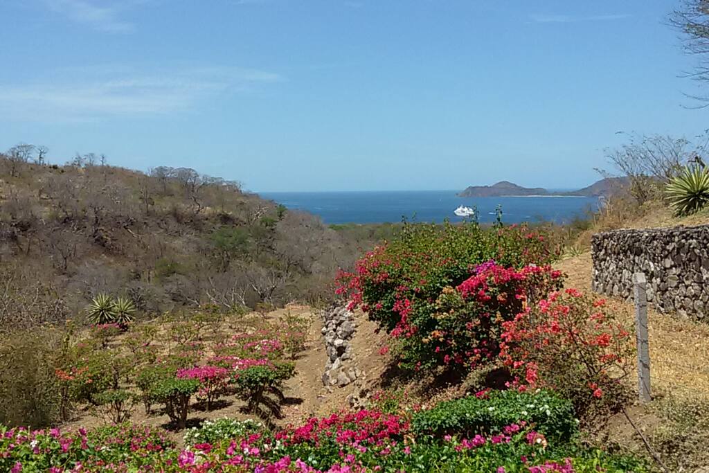 Flower Garden