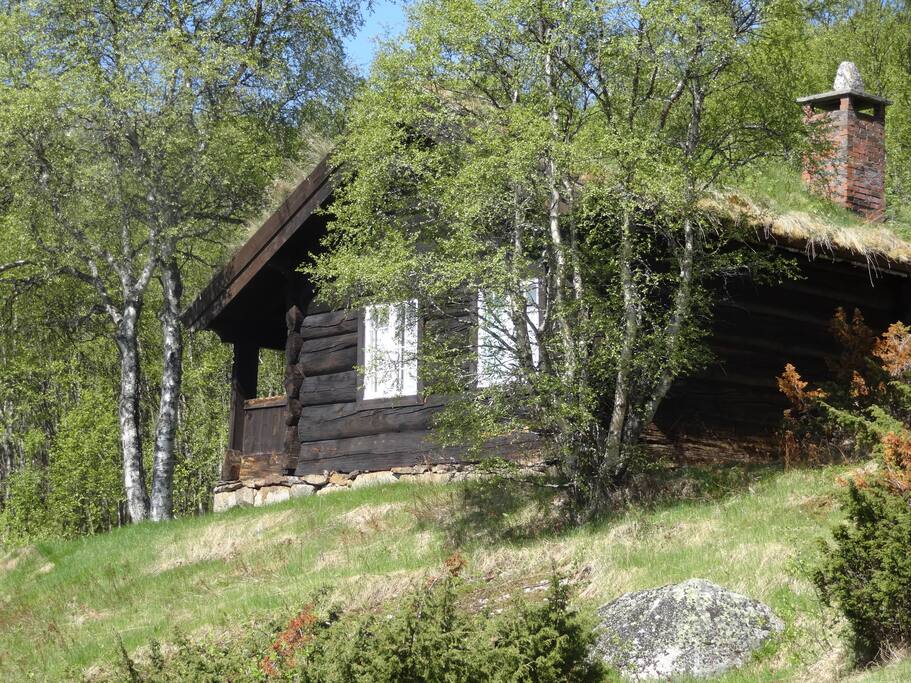 Kvarvi forfra