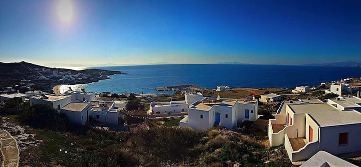 Restía