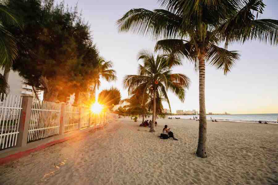 A sandy beach path is lined with palm trees, gently swaying in the breeze. The warm glow of the setting sun casts a golden hue along the shore, with groups of people enjoying the evening on the sand.