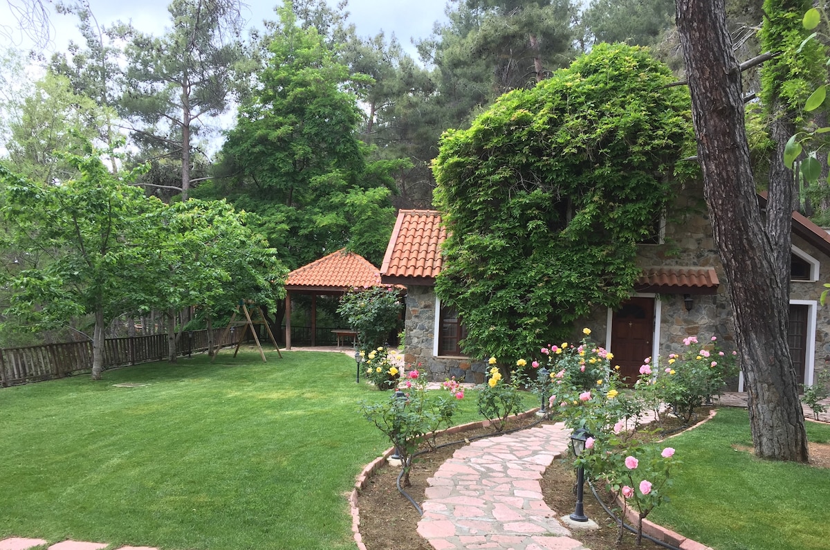 A charming country house features a stone exterior with a warm, terracotta roof, surrounded by lush greenery. A winding pathway lined with rose bushes leads to the entrance, while a wooden swing set is visible under a tree. Vibrant grass covers the garden area.