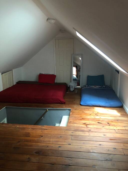 You will be surprised by how comfy these beds are (not the blue one lol the blue one is for kids or small adults)