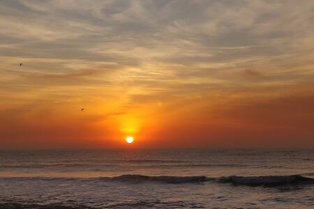 Quarto com vista na Praia da Armação