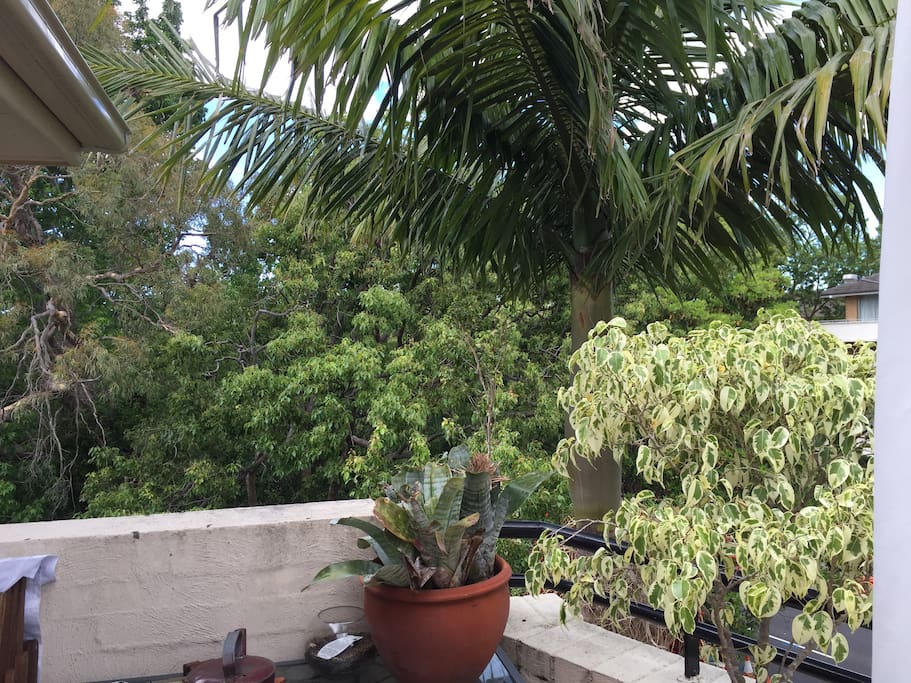 Balcony in the trees