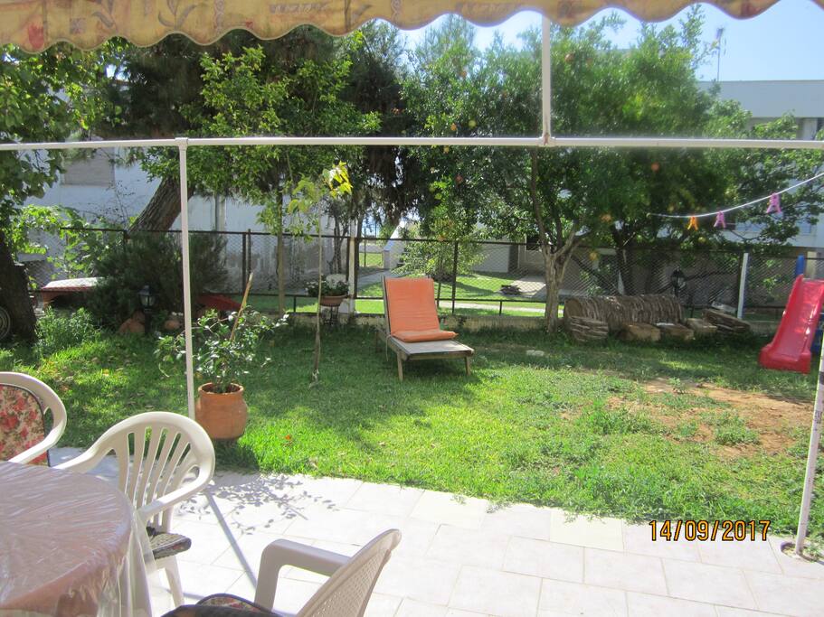 backyard and garden