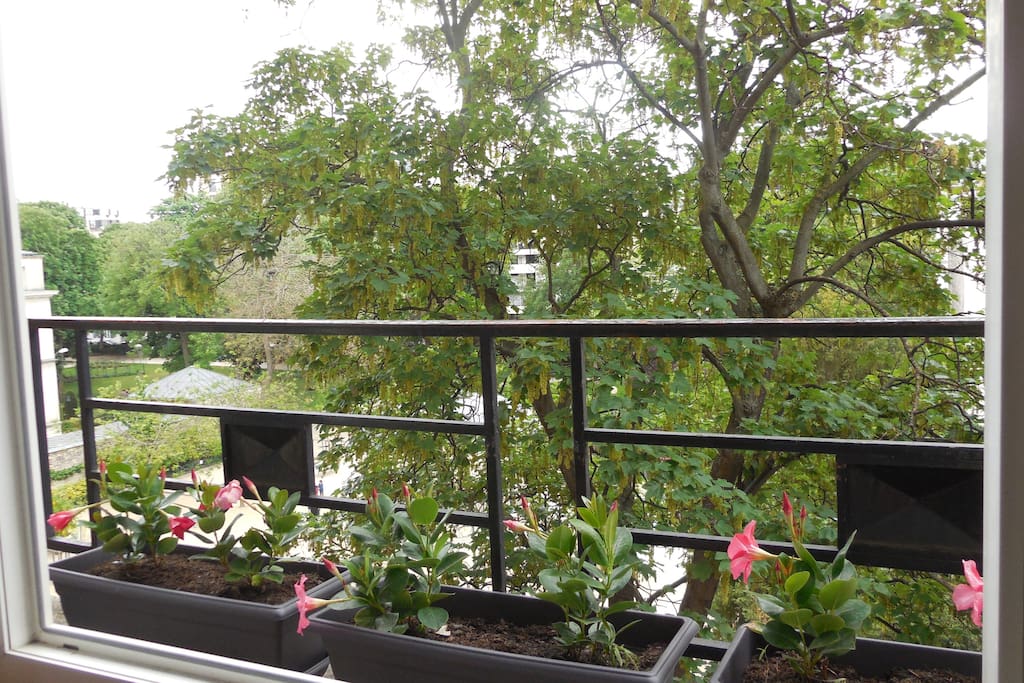 view from living window