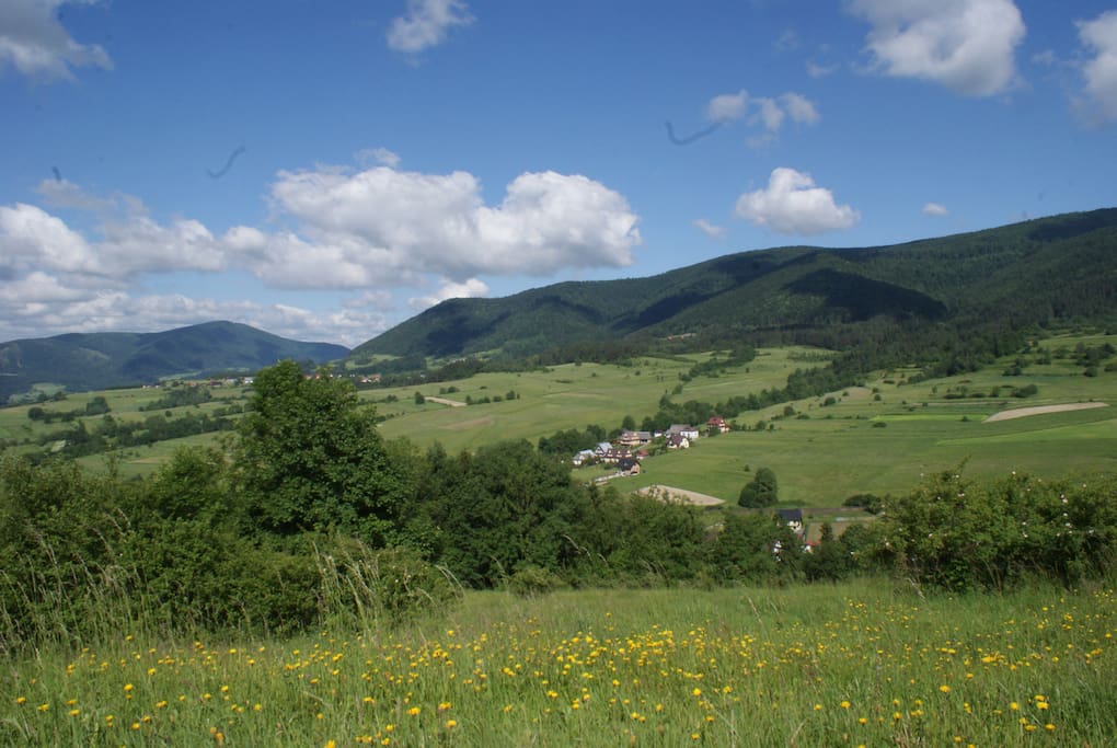 Okolica wiosną