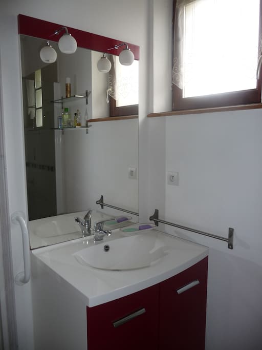salle de bain rdc