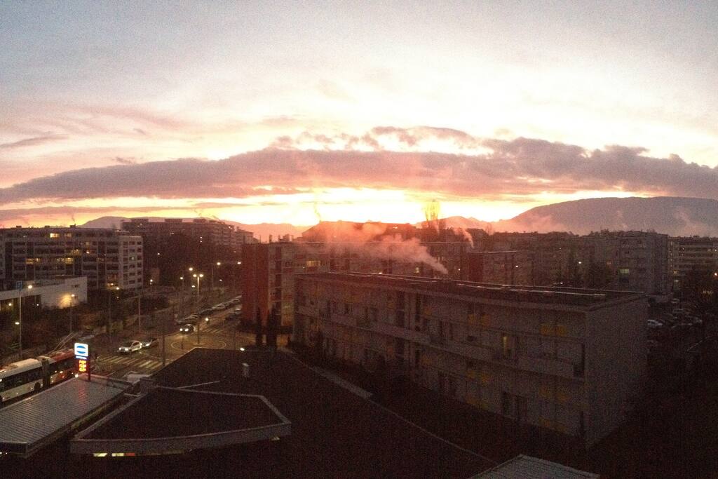 view