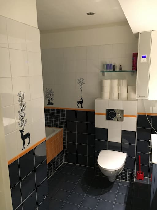 Bathroom with shower / bath