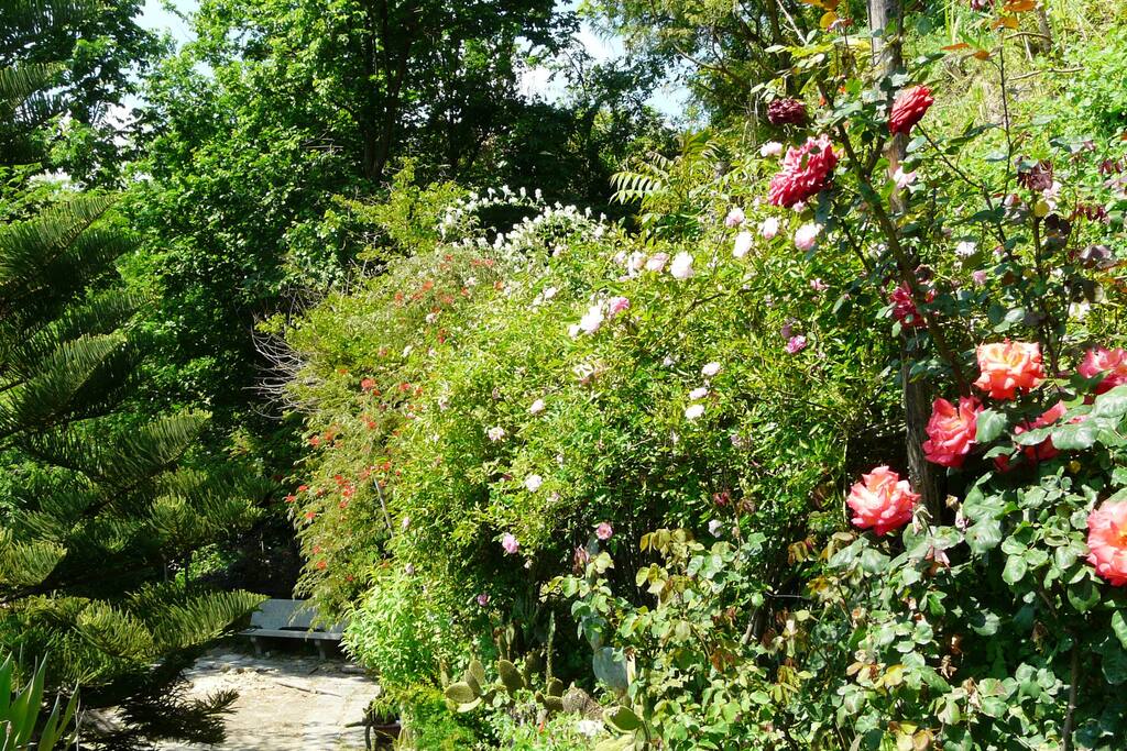 Primo viale del giardino