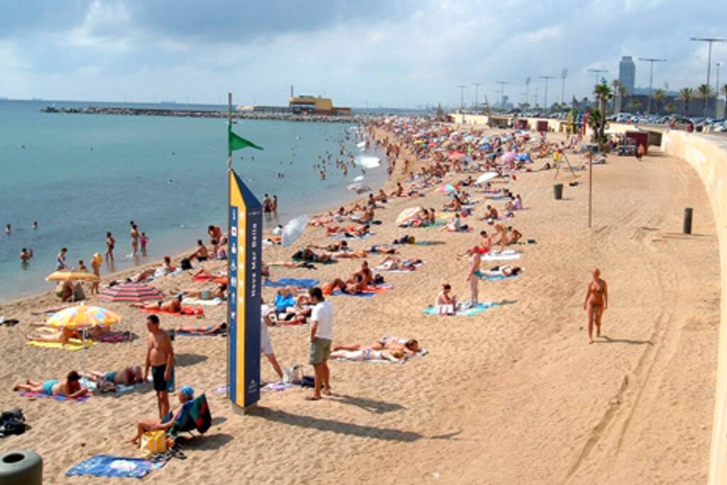 Beach