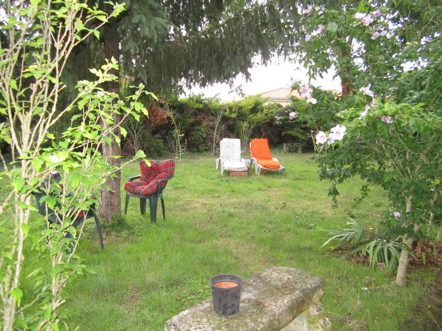 jardin 650 m2