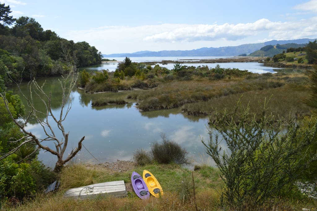 Enjoy the diverse birdsong and forest whilst having a relaxing paddle.