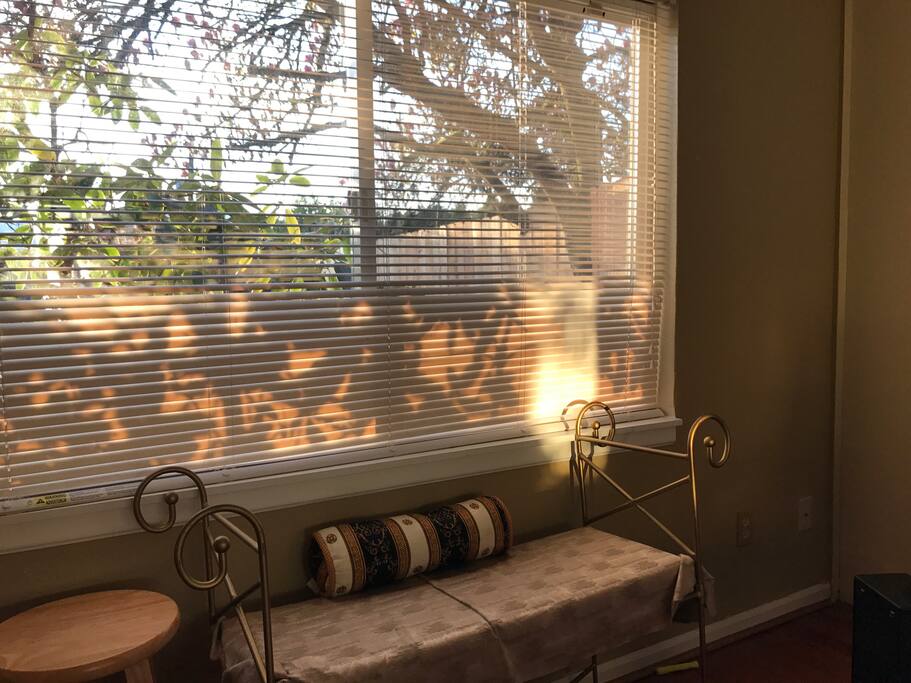 Beautiful morning light