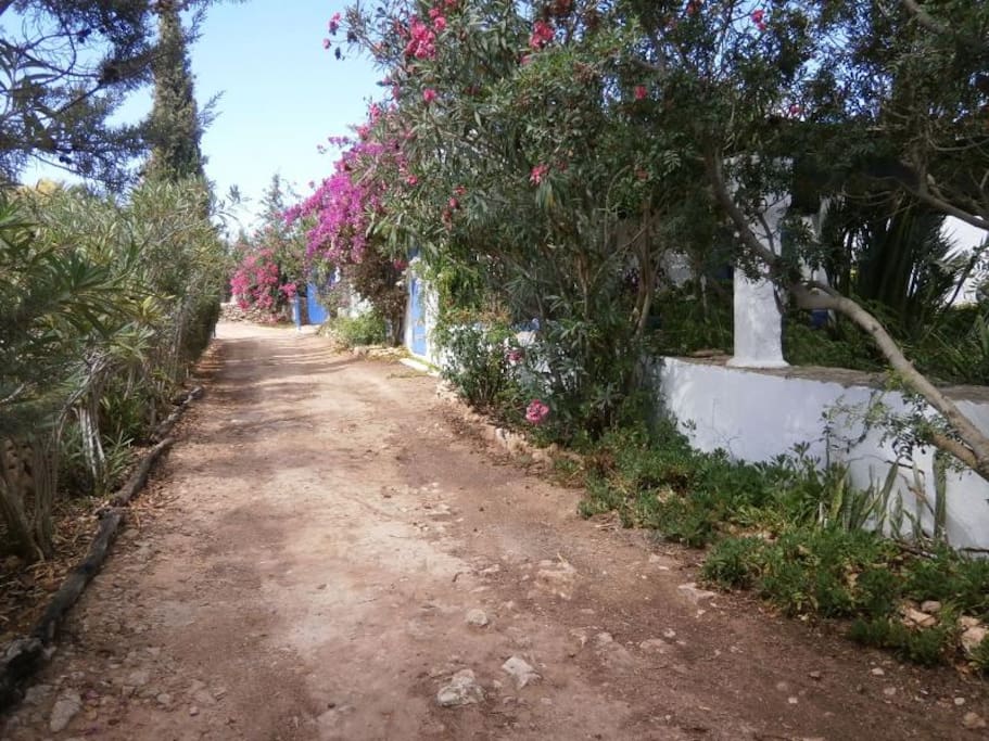 entrada a la finca