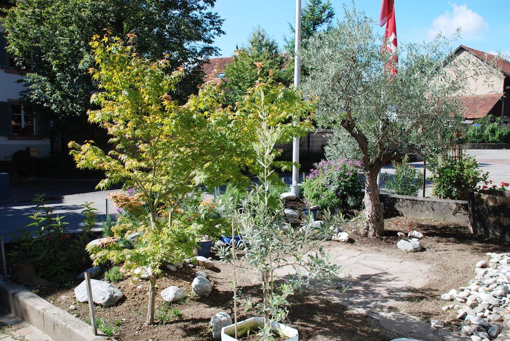 Vorgarten