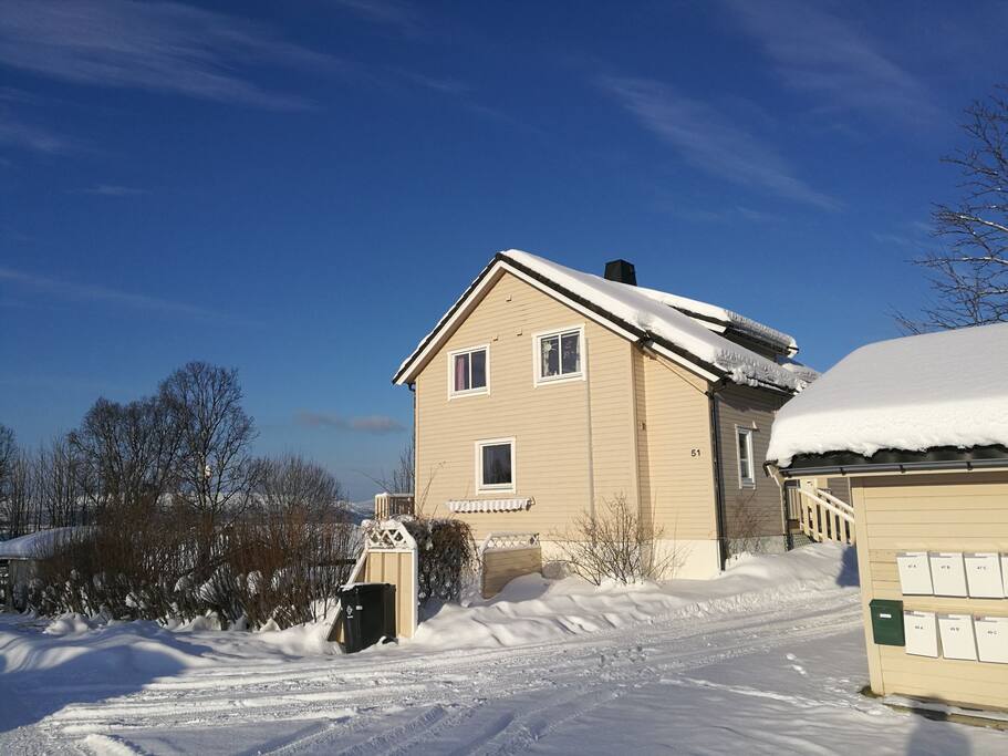 winter view