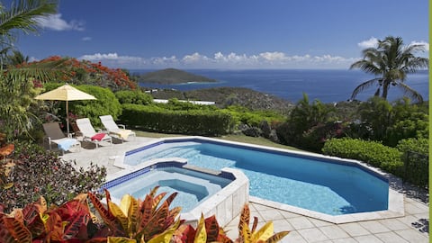 Top performing Airbnb: Luxurious 3-Bedroom Villa in St. Thomas in Tutu