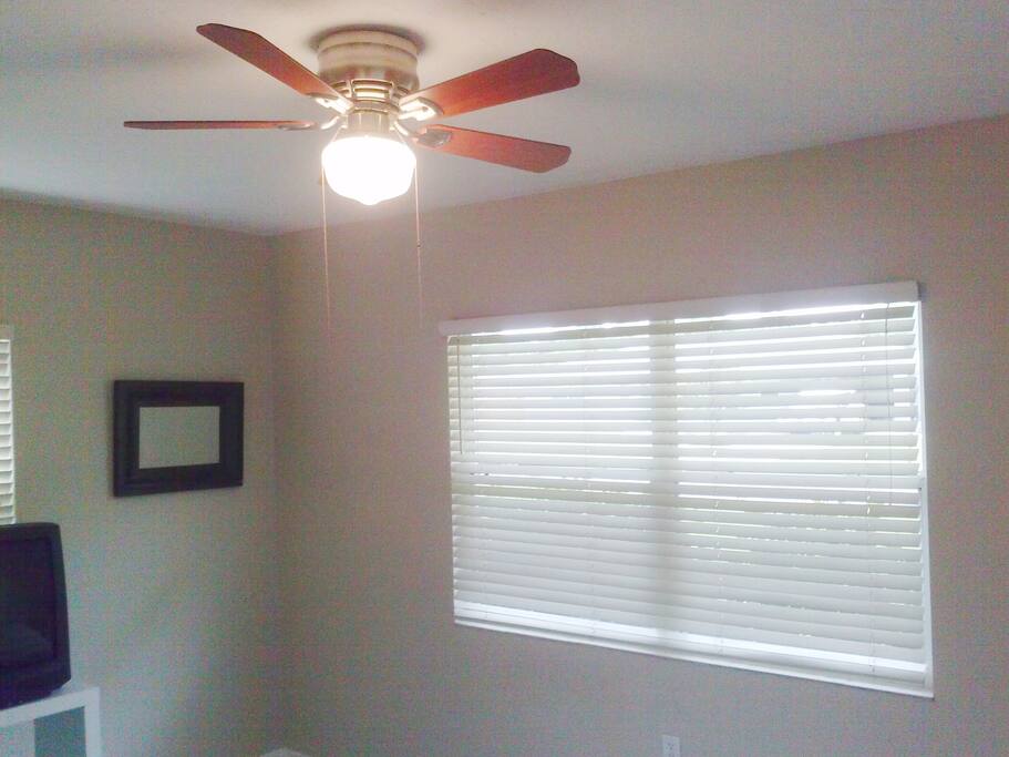 Large windows and ceiling fan