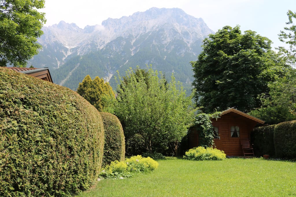 Garden with amazing mountain view