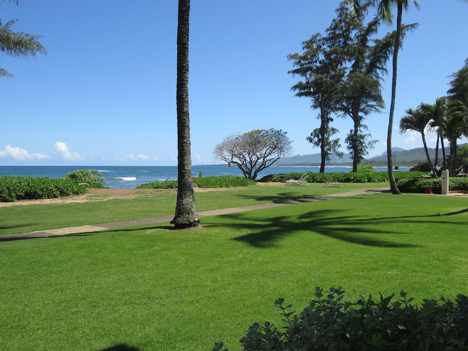 View looking right from lanai.