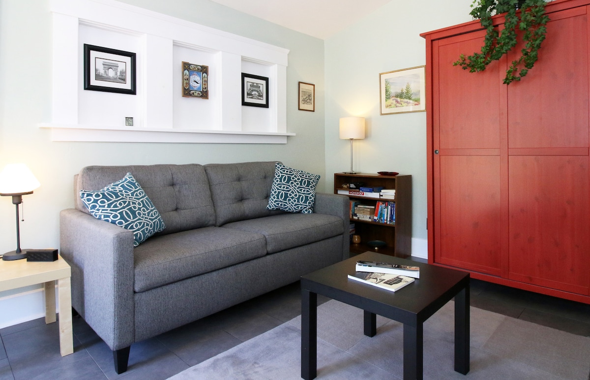 A modern living area features a gray pullout sofa adorned with patterned cushions and a small light beside it. A black coffee table rests on a plush area rug, while a dark wood bookshelf displays various books. A striking red cabinet adds color to the room.