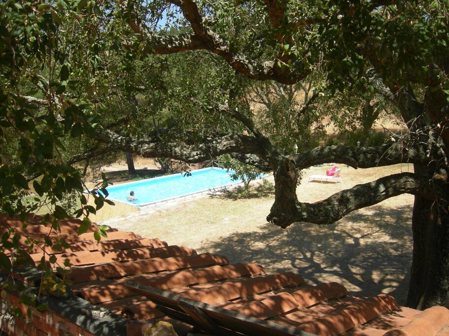 vista su piscina