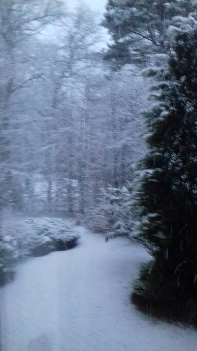 Winter Wonderland - viewed from window