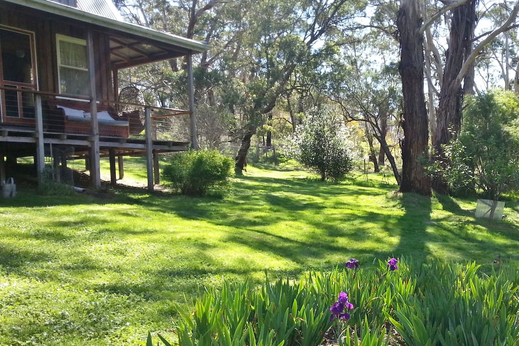 Spring view