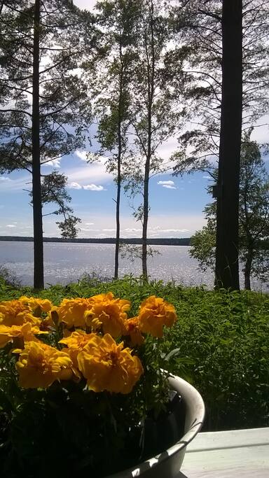 View from the terrace.