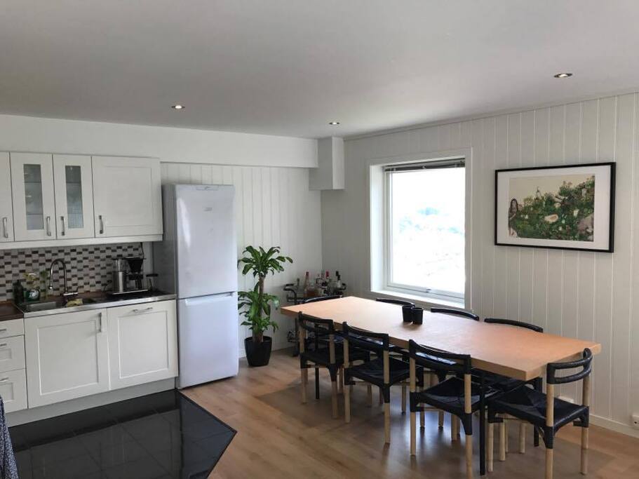 Big dining table. The kitchen and living room is in the same room. The kitchen has a stove, refrigerator, microwave, dishwasher, coffee machine and other kitchen machines.