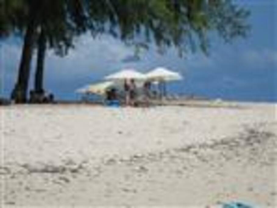 The local beach