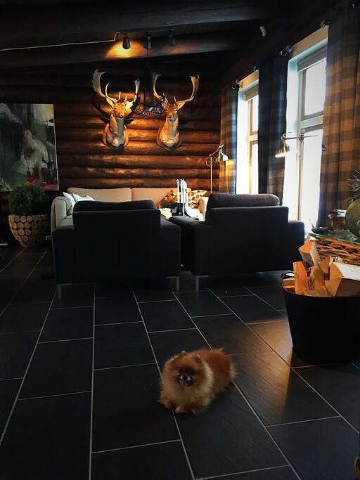The living room