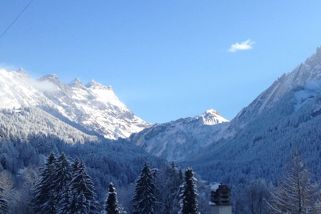 Winter View
