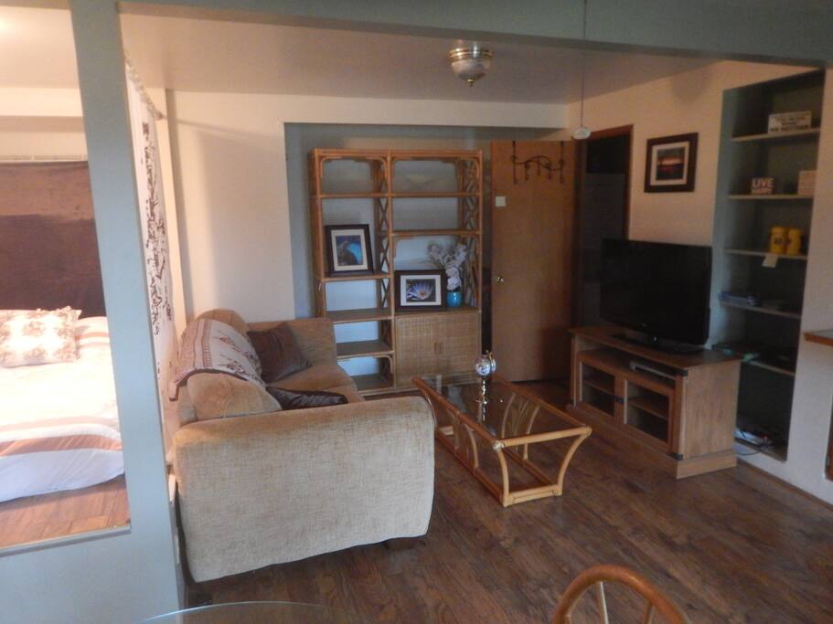 Main Area w/ Queen bed and sleeper sofa